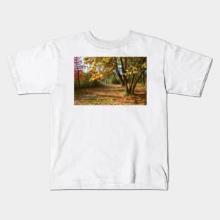 Autumnal trees Kids T-Shirt